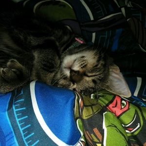 Meet your Posher, Cheyenne